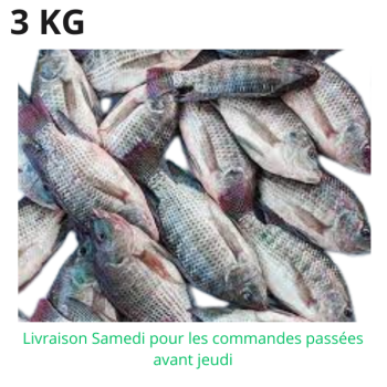 Tilapia 3 kg