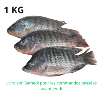 Tilapia 1 kg