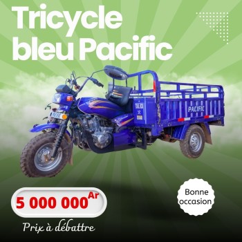 MOTO | TRICYCLE BLEU PACIFIC
