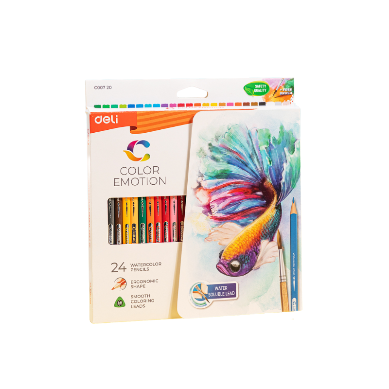 CRAYON DE COULEUR  24 CLRS | COLORED PENCIL DEC00720