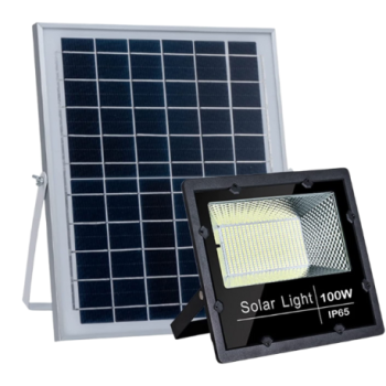PROJECTEUR SOLAIRE STANDARD 100W