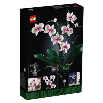 L’ORCHIDÉE CREATOR | KIT...