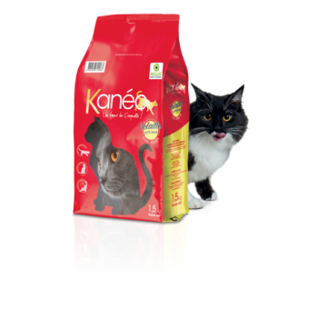 CROQUETTES KANEO CHAT VOLAILLES 3