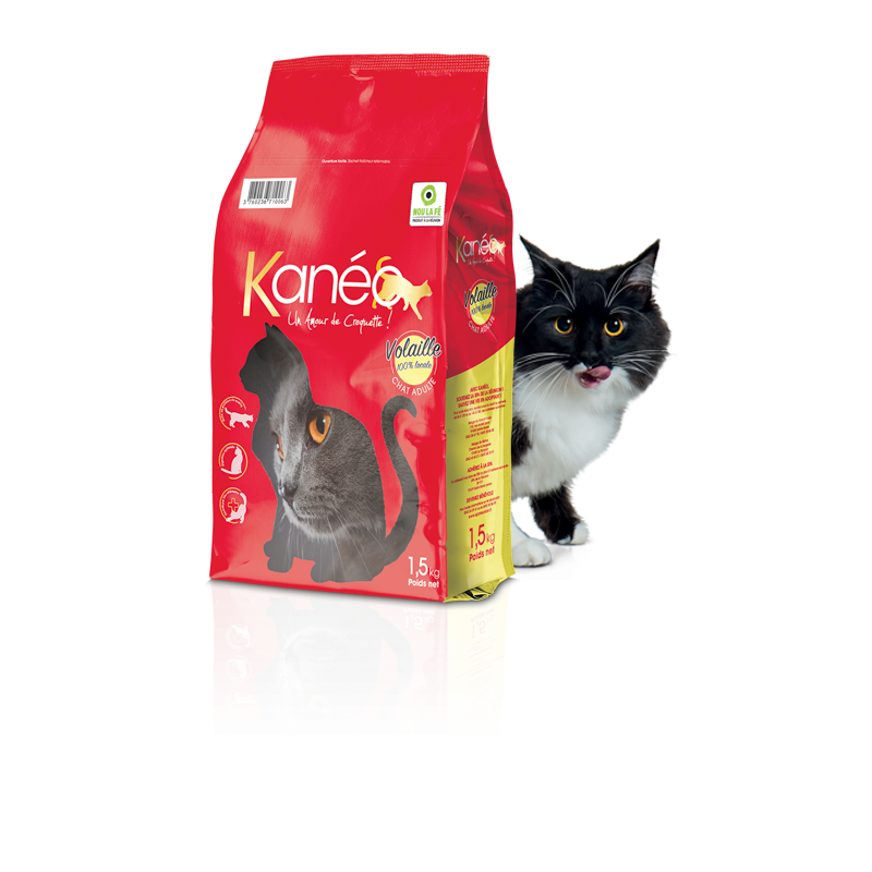 CROQUETTES KANEO CHAT VOLAILLES 3