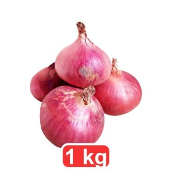 Oignons frais 1kg | Gros Calibre