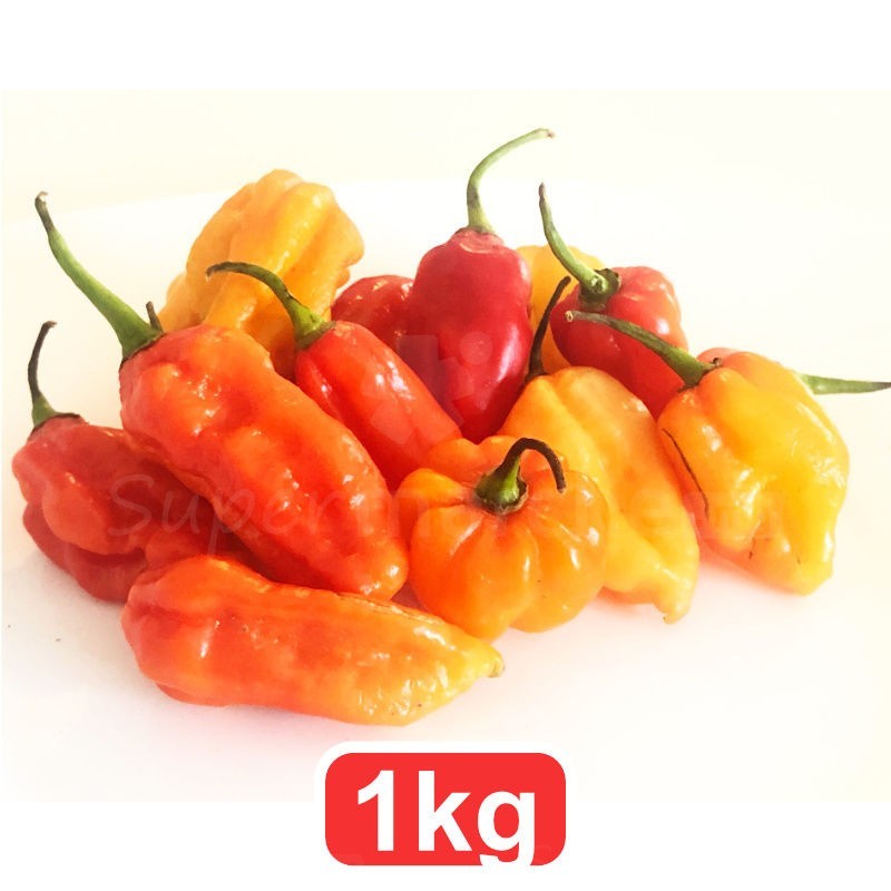 Sakay Tsilandimilahy Frais 1Kg  | Piment Habanero