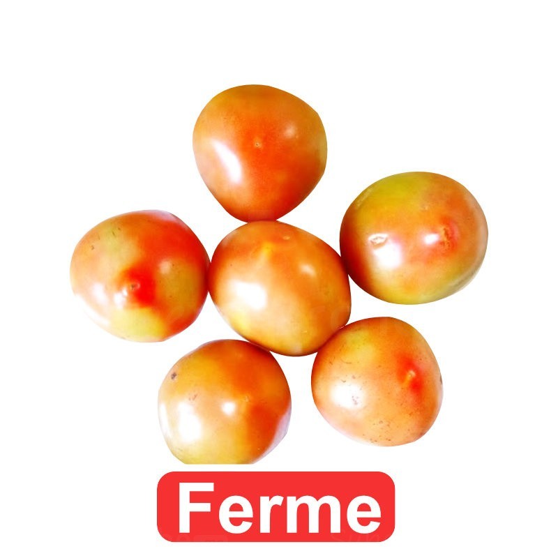 Tomates rondes fermes 1kg | Gros Calibre | A consommer le lendemain