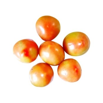 Tomates rondes bien fermes 1kg | Gros Calibre | A consommer d'ici 2 ou 3 jours