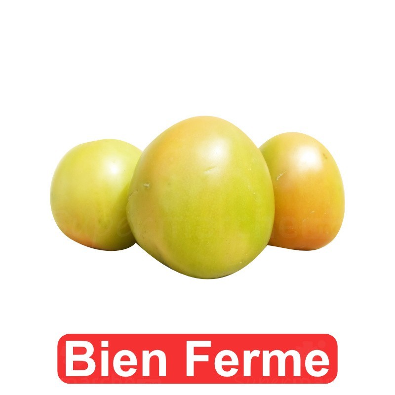 Tomates allongées bien fermes 1kg | Gros Calibre | A consommer d'ici 2 ou 3 jours