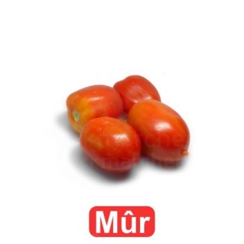 Tomates allongées mûres 1kg | Calibre Moyen | A consommer le jours même