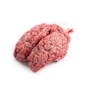 Cervelle de Boeuf | 1 pièce env. 400g