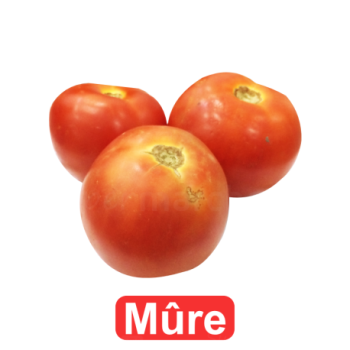 Tomates rondes mûres 1kg | Calibre Moyen | A consommer le jour même