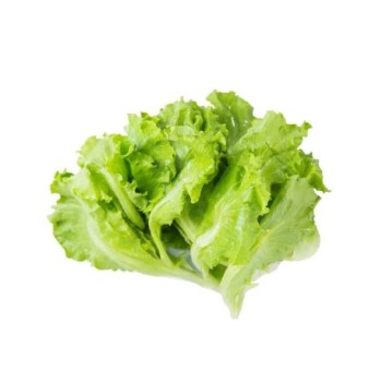 Salade Verte 1 pièce | Battavia