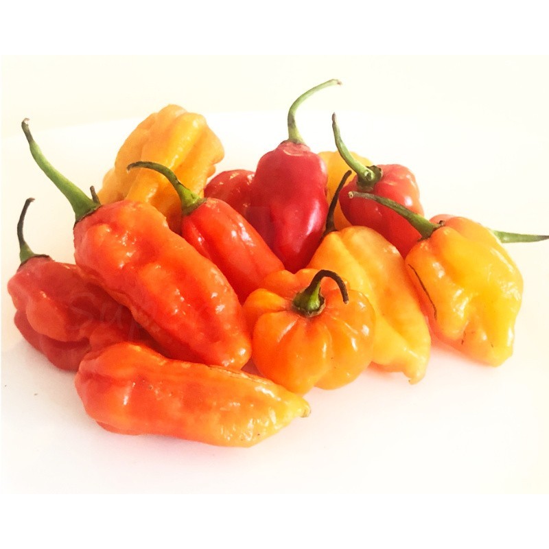 Sakay Tsilandimilahy Frais 75g  | Piment Habanero