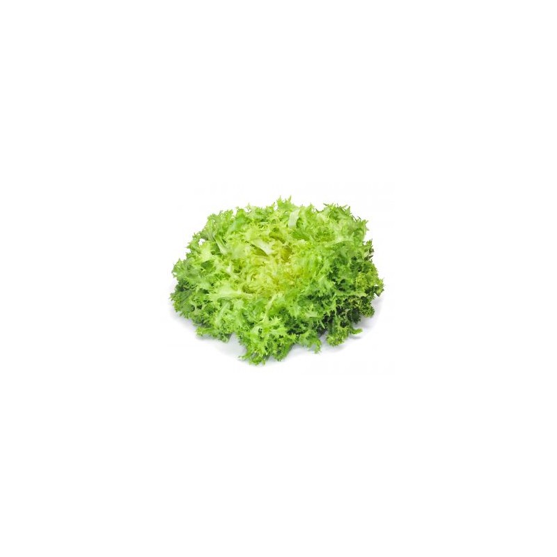 Salade Verte 1 pièce | Battavia