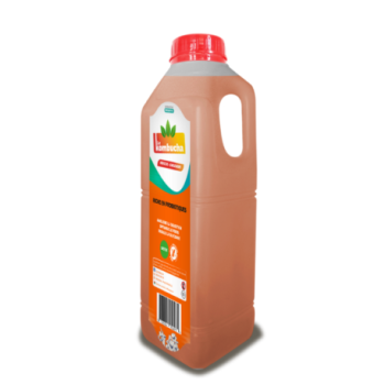 Boisson detox 1l Le Kombucha