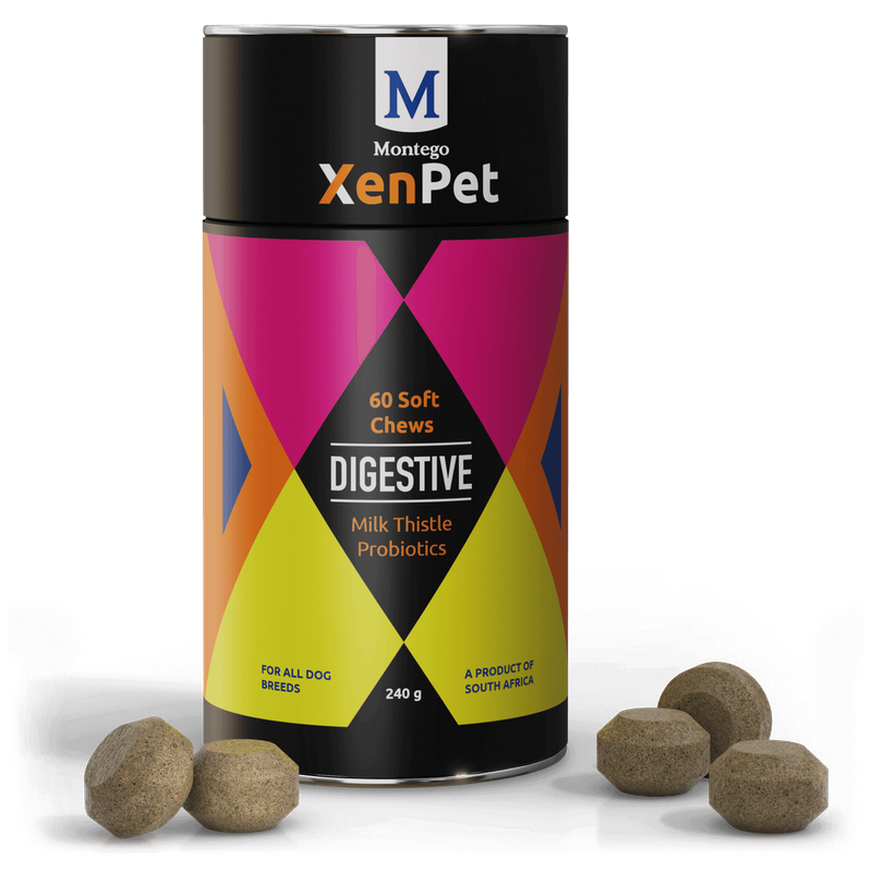 Friandises pour la digestion 240g montego xenpet