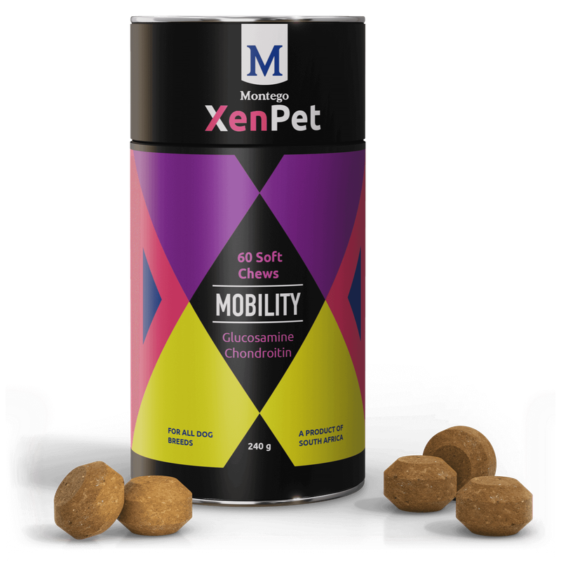 Friandises pour la mobilité 240g montego xenpet