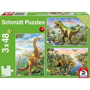 Schmidt Puzzles