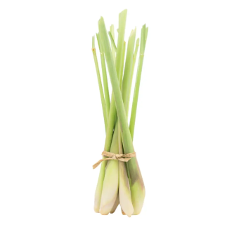 citronnelle 1 botte